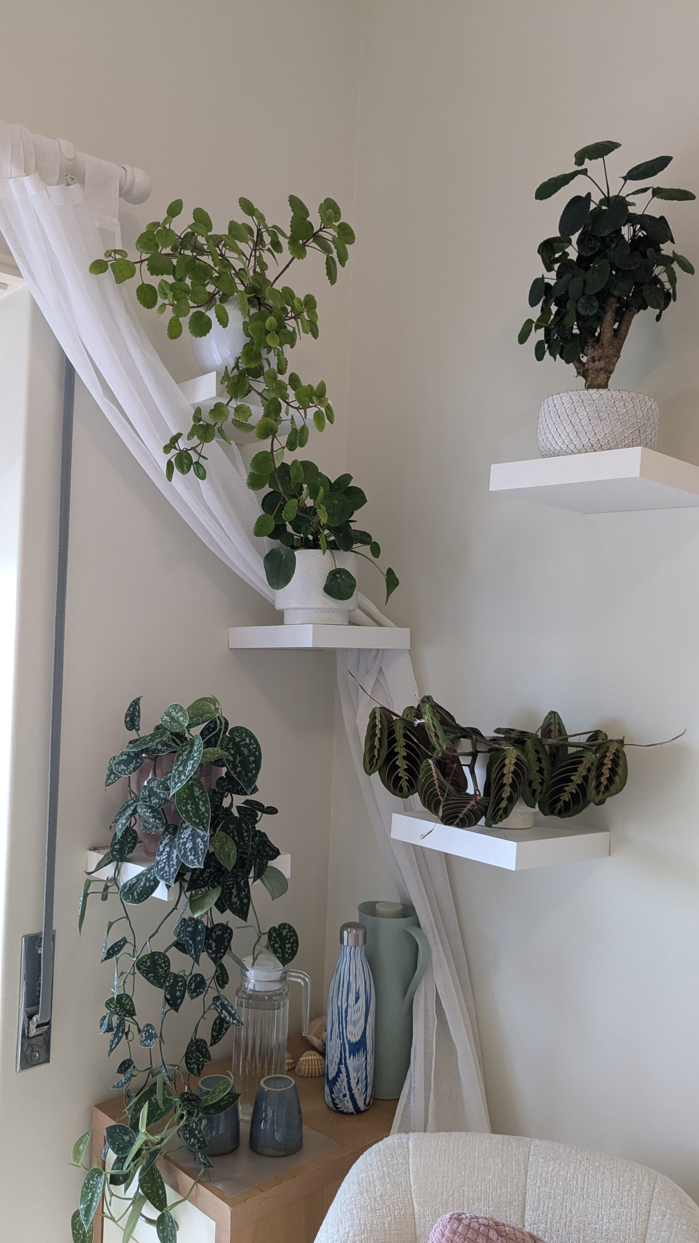 Mini-série: Diversidades